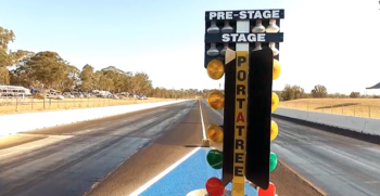 warwickdragway-christmastree-web